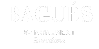 Logo Hotel Bagués