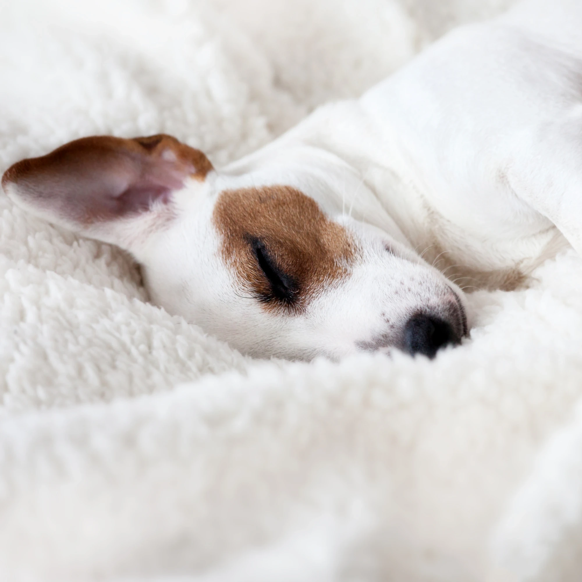 Hotel Derby 4* Barcelona