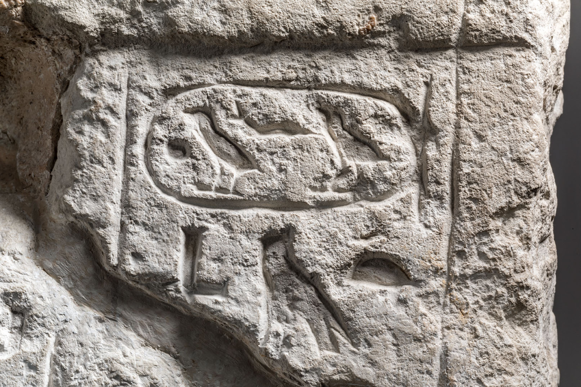 E 1111.Casanova.Baja.06.jpg