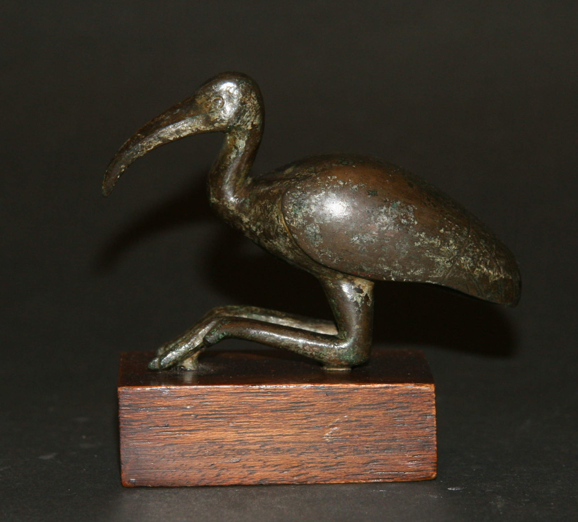 Estàtua de bronze d'un ibis, vinculat amb el déu egipci Tot
Baixa Època (715-332 aC)
Pedra calcària
Alçada: 8.8 cm
Inv.: MEB E-313