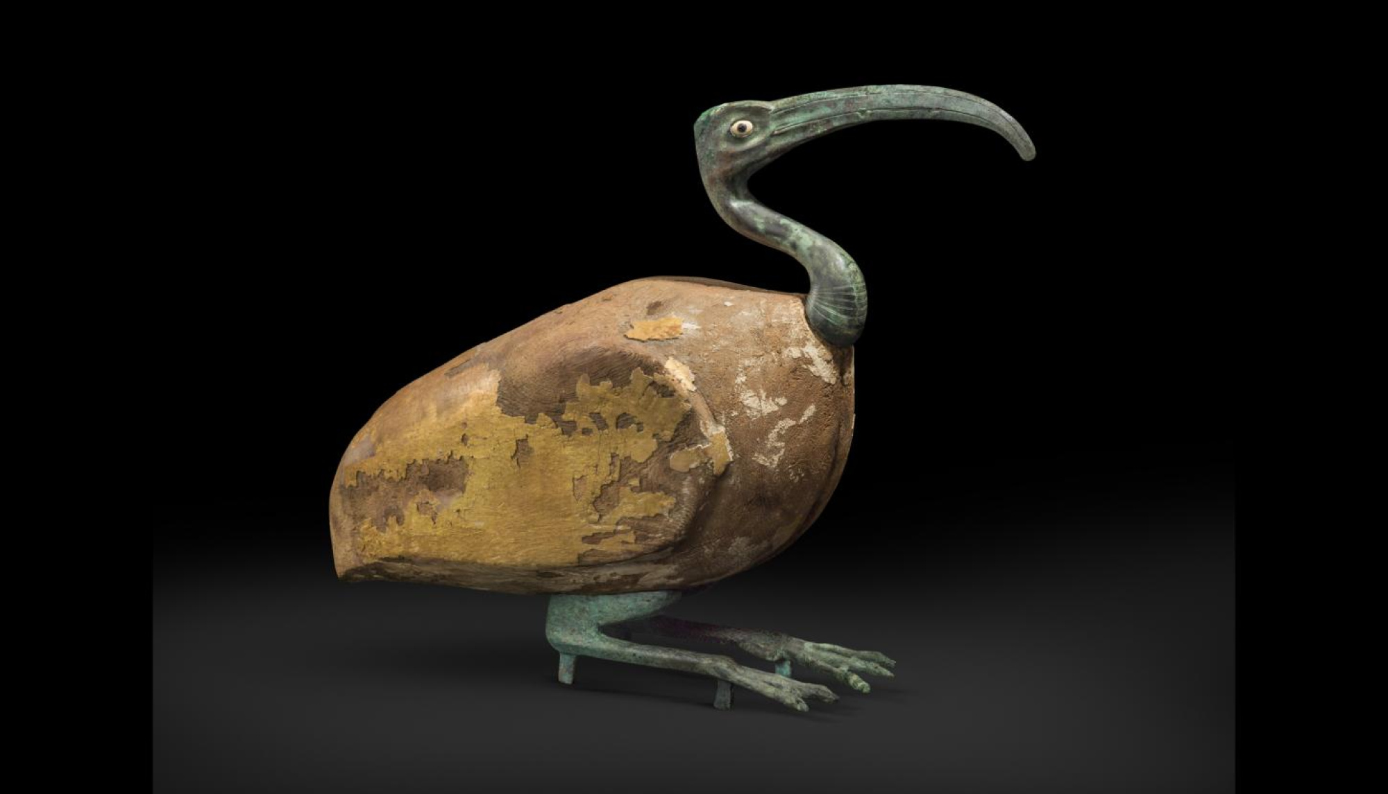 Ibis animals sagrats 850