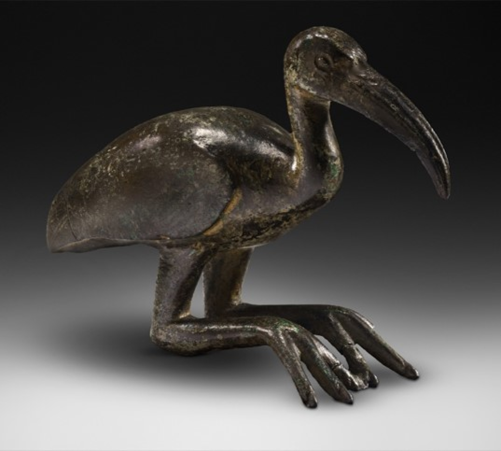 Estatueta en bronze d'un ibis
Baixa Època (715-332 aC)
Pedra calcària
Alçada: 8.8 cm
Inv.: MEB E-313