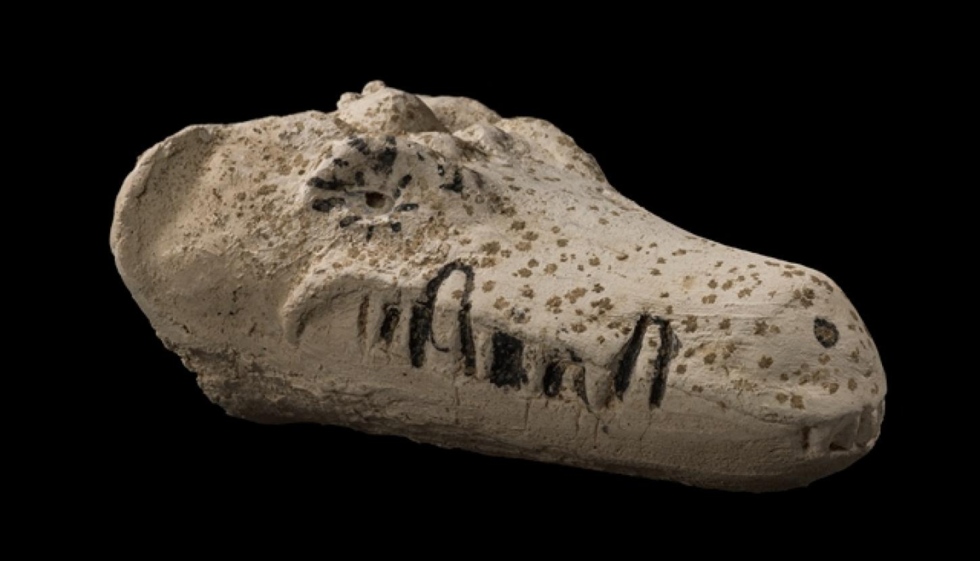 Mascara cocodril 687