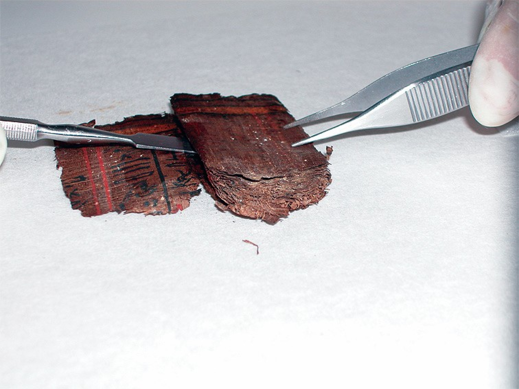 Papir de la Dama Bary  Restauració d'un llibre dels morts egipci