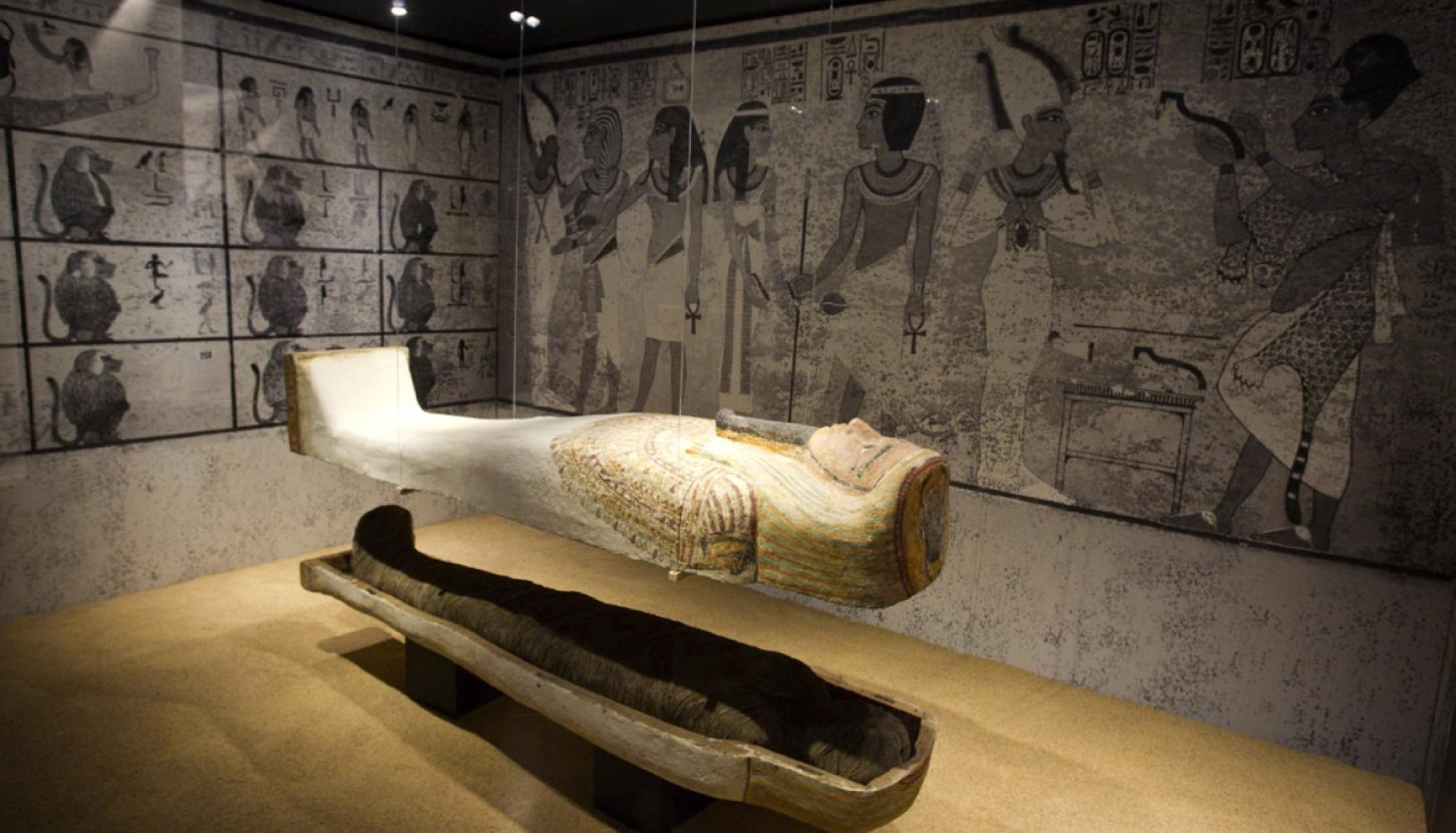 Tutankhamon historia de un descubrimento 950