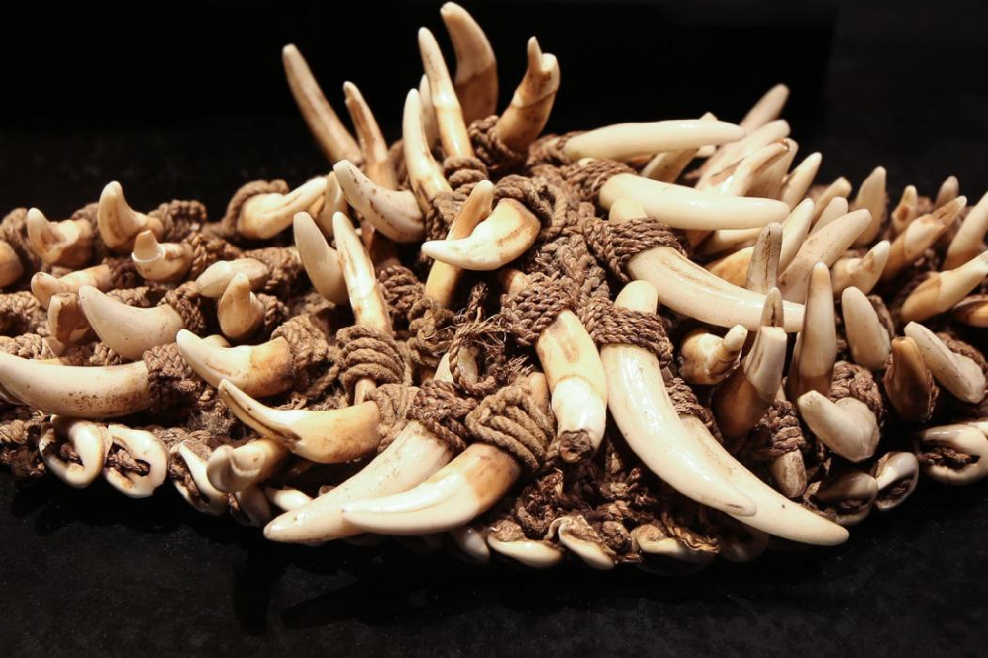 Bk coleccion de arte 30 284