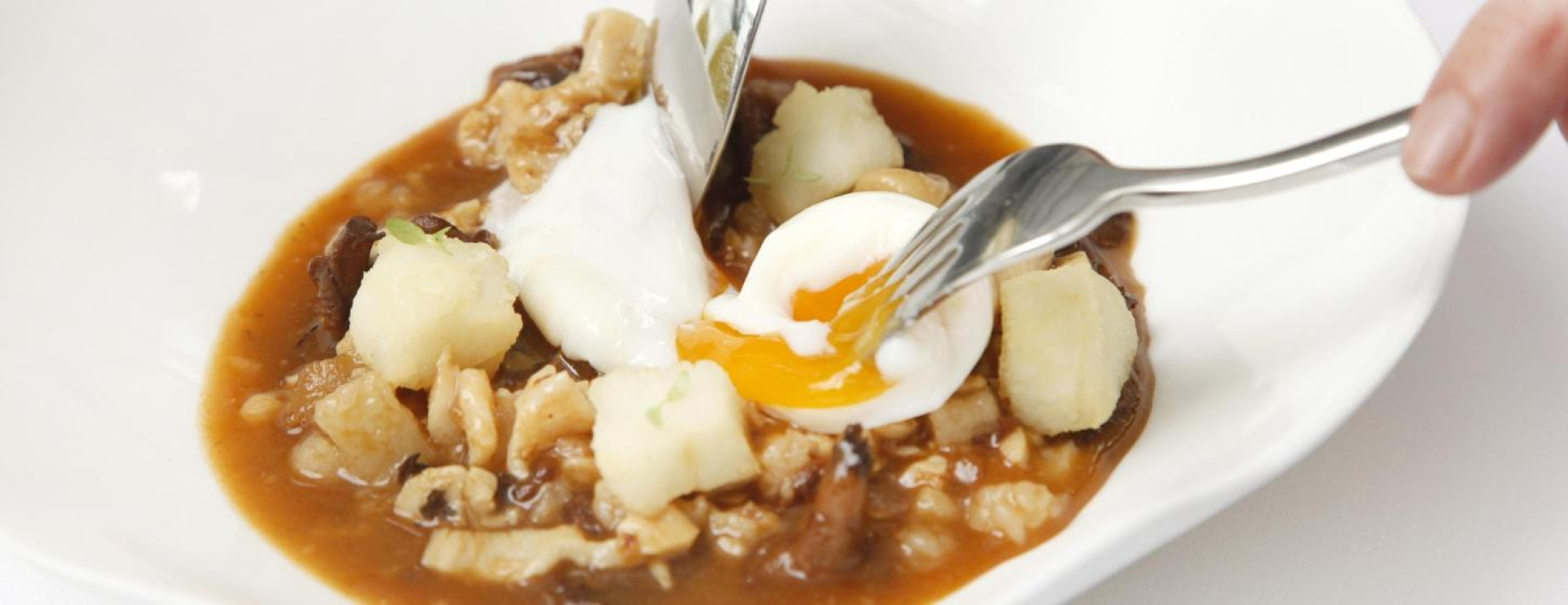 plato restaurante Derby collection