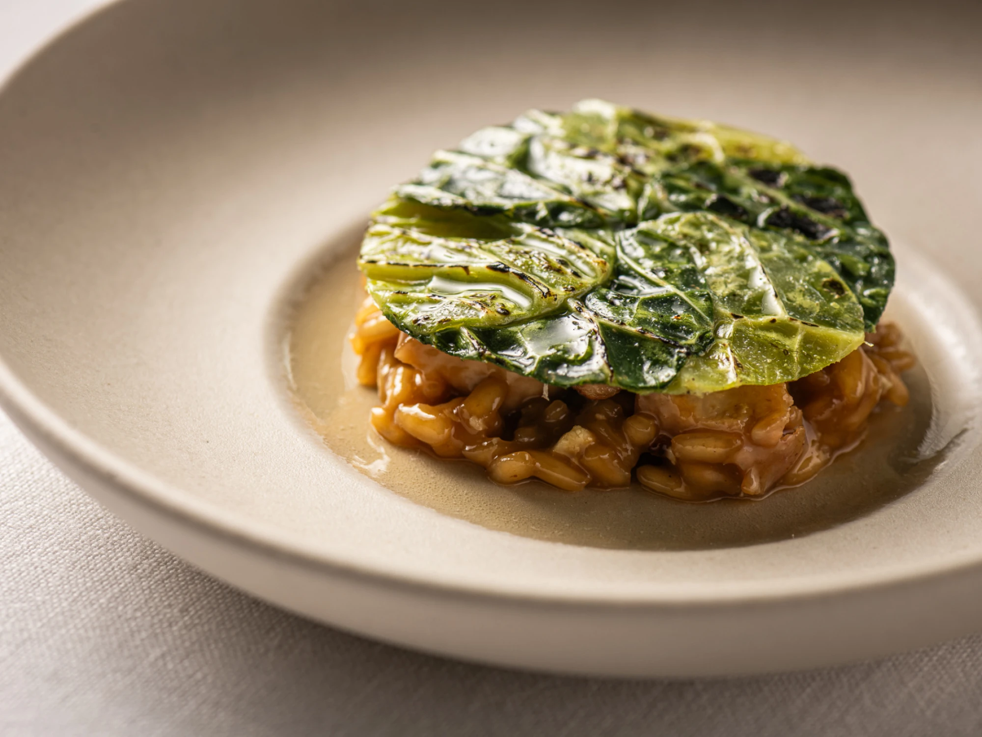 Se ve un plato servido con una base de arroz y una cobertura verde sobre un plato blanco.