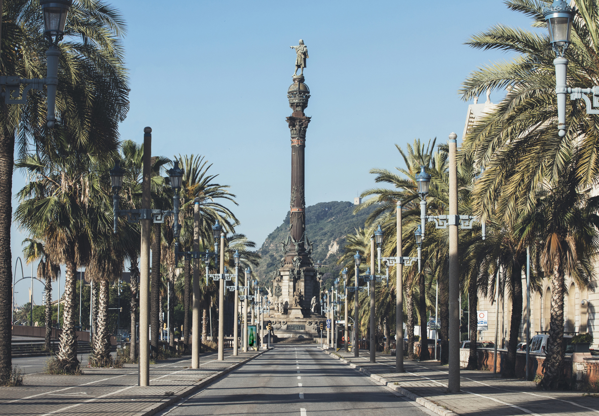 Se ve una avenida con palmeras altas y farolas a lo largo de la calle, con montañas al fondo.