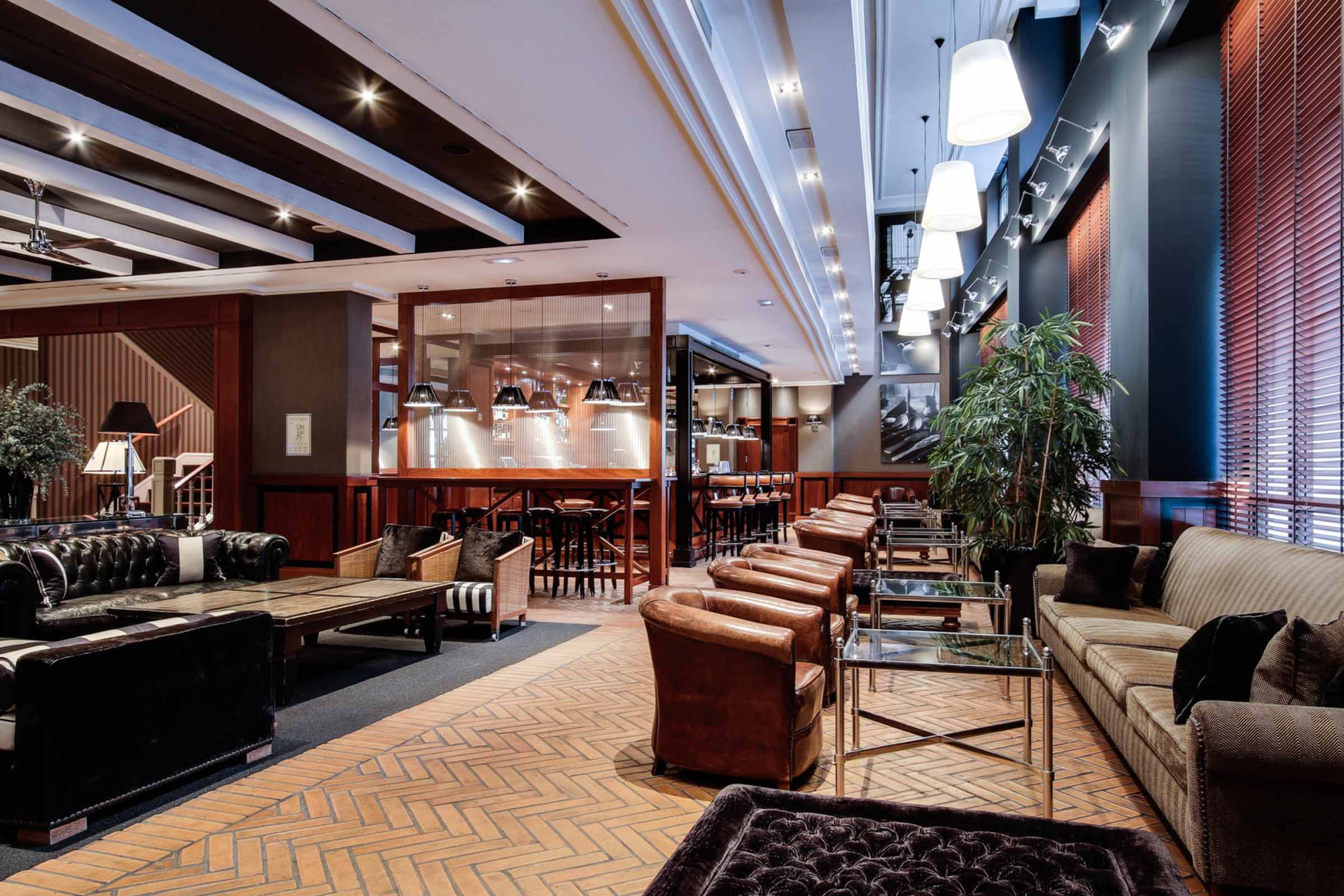 El bar muestra asientos de cuero, mesas, una barra iluminada y plantas decorativas en el interior.