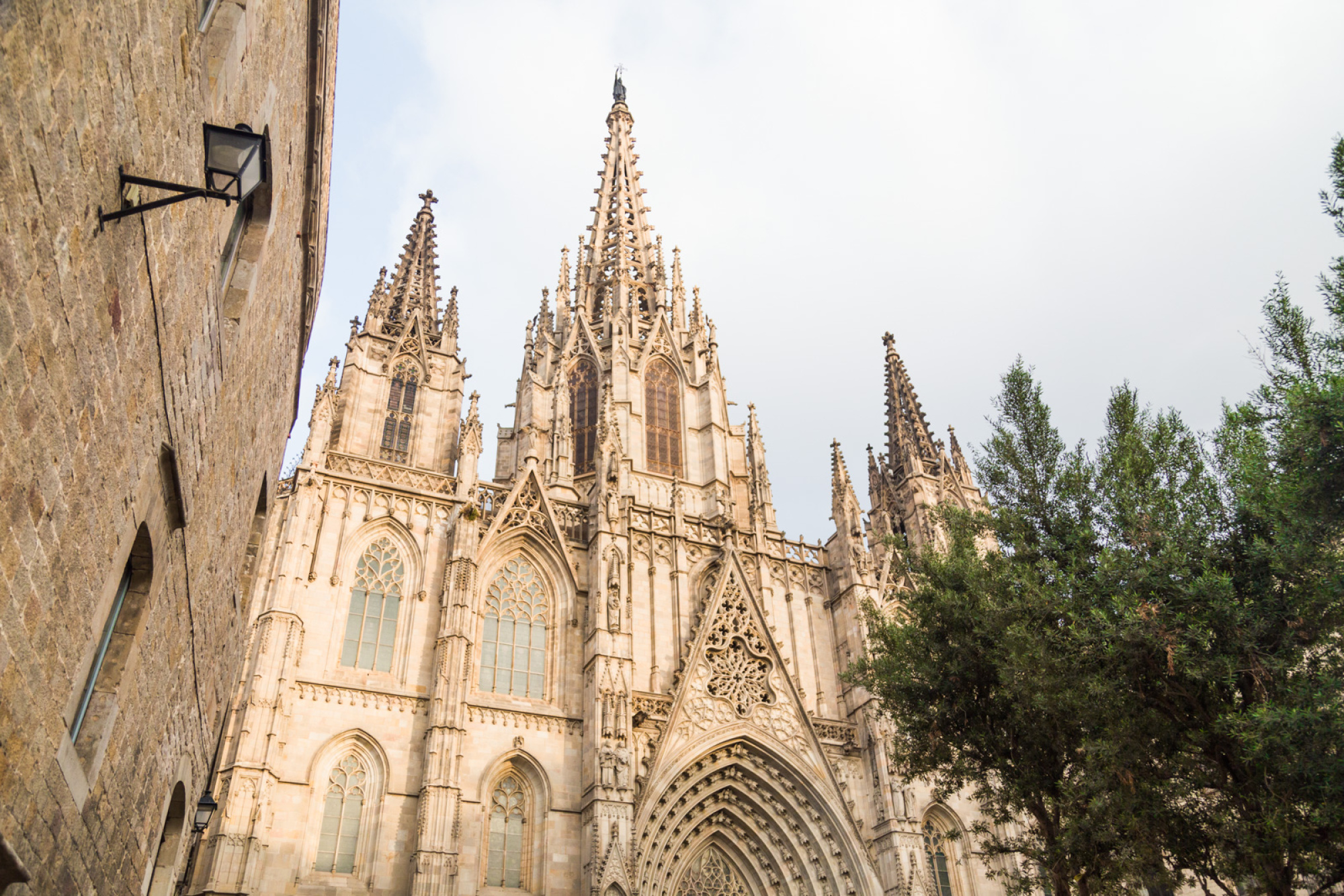 Se ve la fachada de una catedral gótica con torres y arcos, junto a árboles.