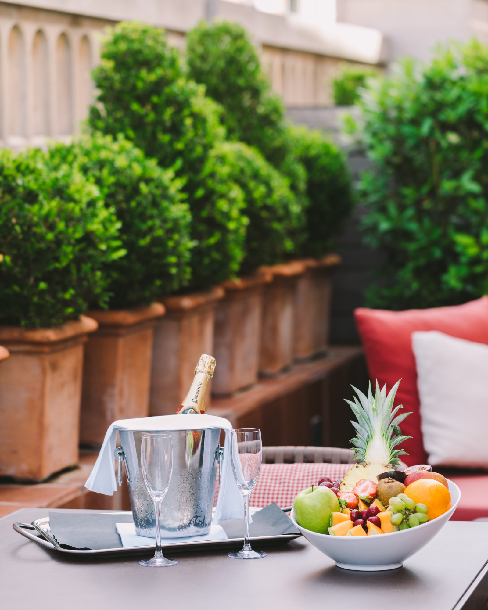 Se ve una mesa con platos de fruta, copas y una botella sobre una terraza con cojines y arbustos en maceteros.