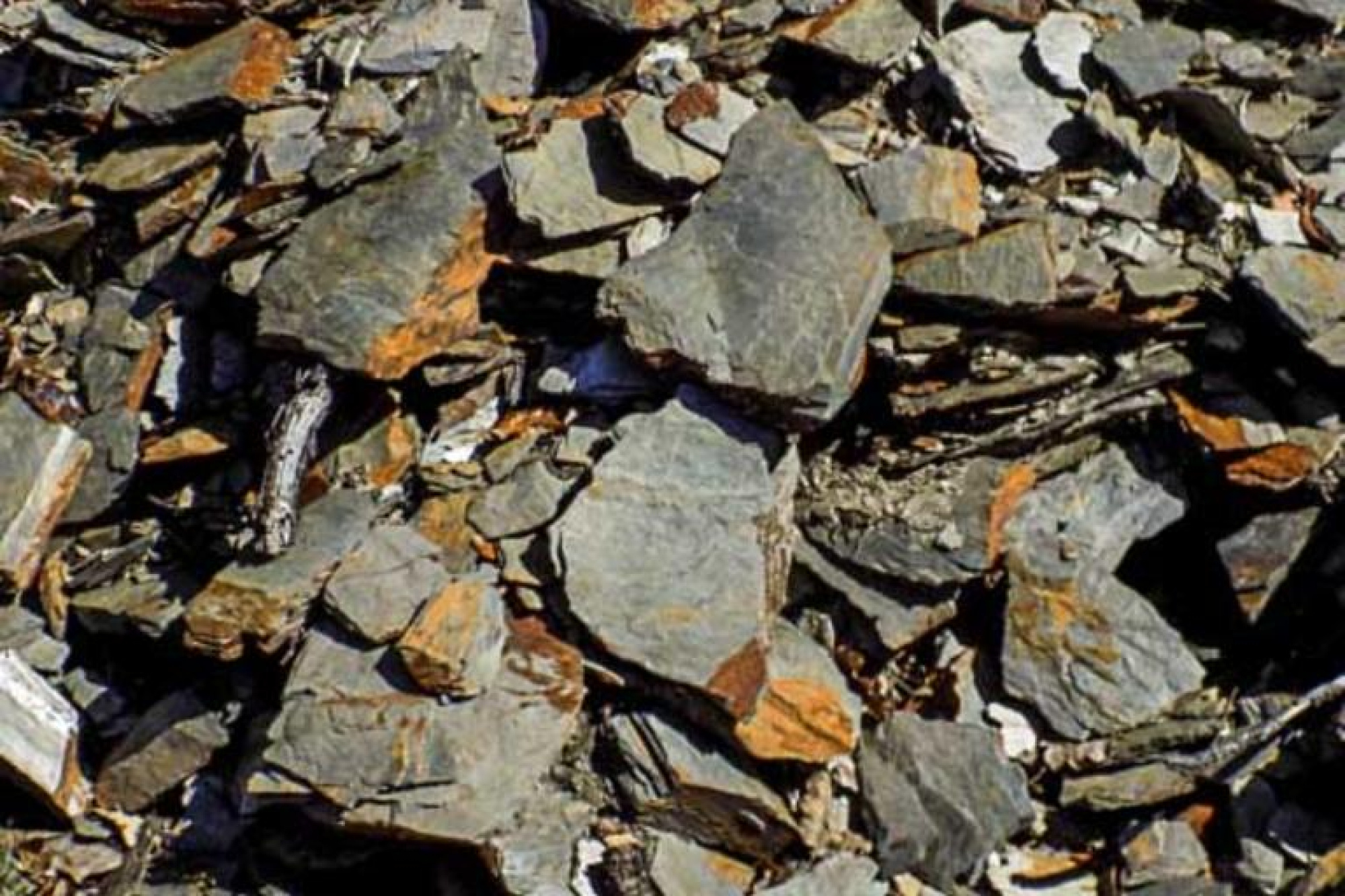 1e69be4302e6529b8494afab268530ea2f323713