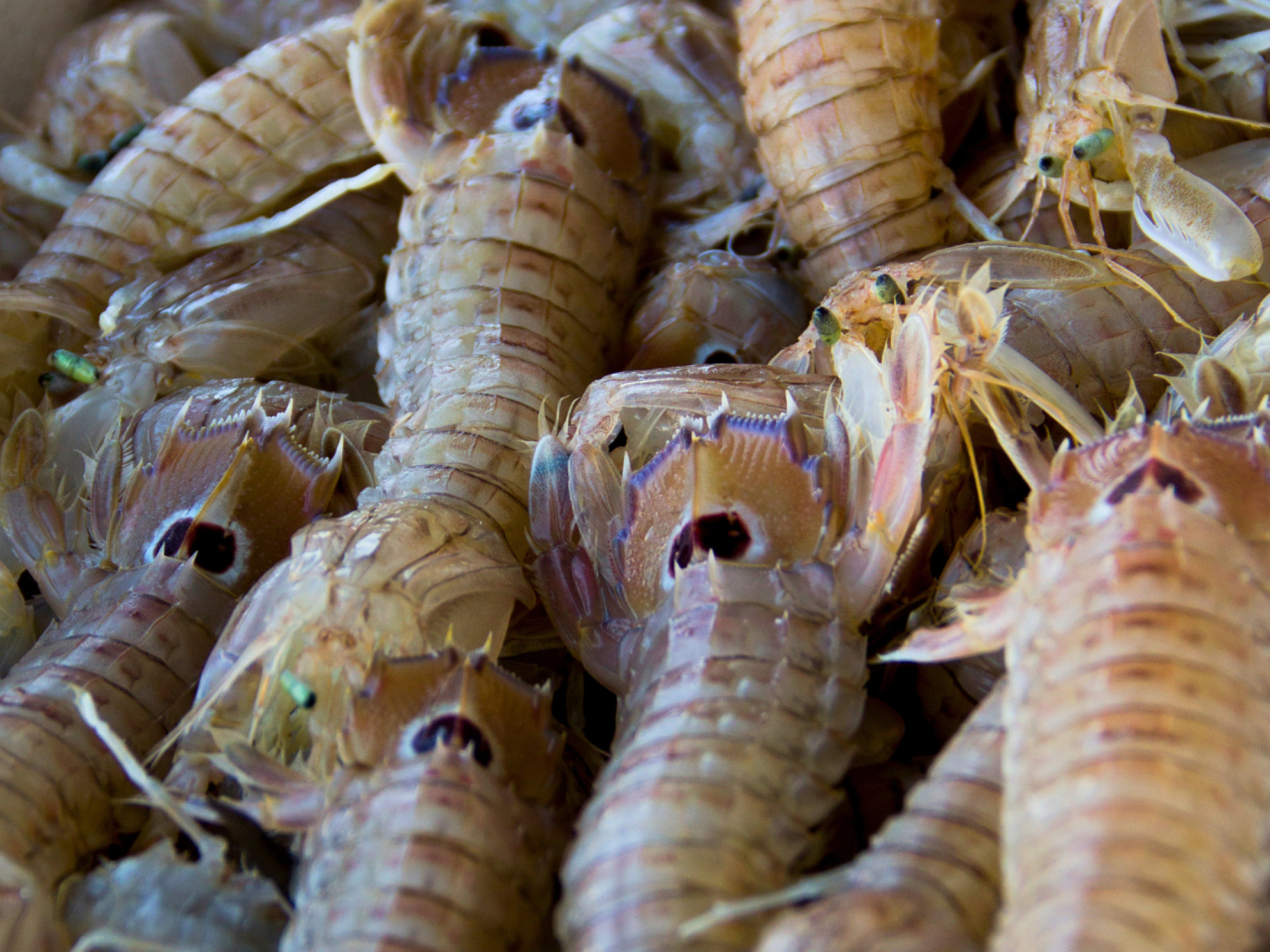 Una imagen que muestra un diseño gráfico con formas abstractas y colores vibrantes, ideal para representar creatividad y modernidad en un entorno hotelero.