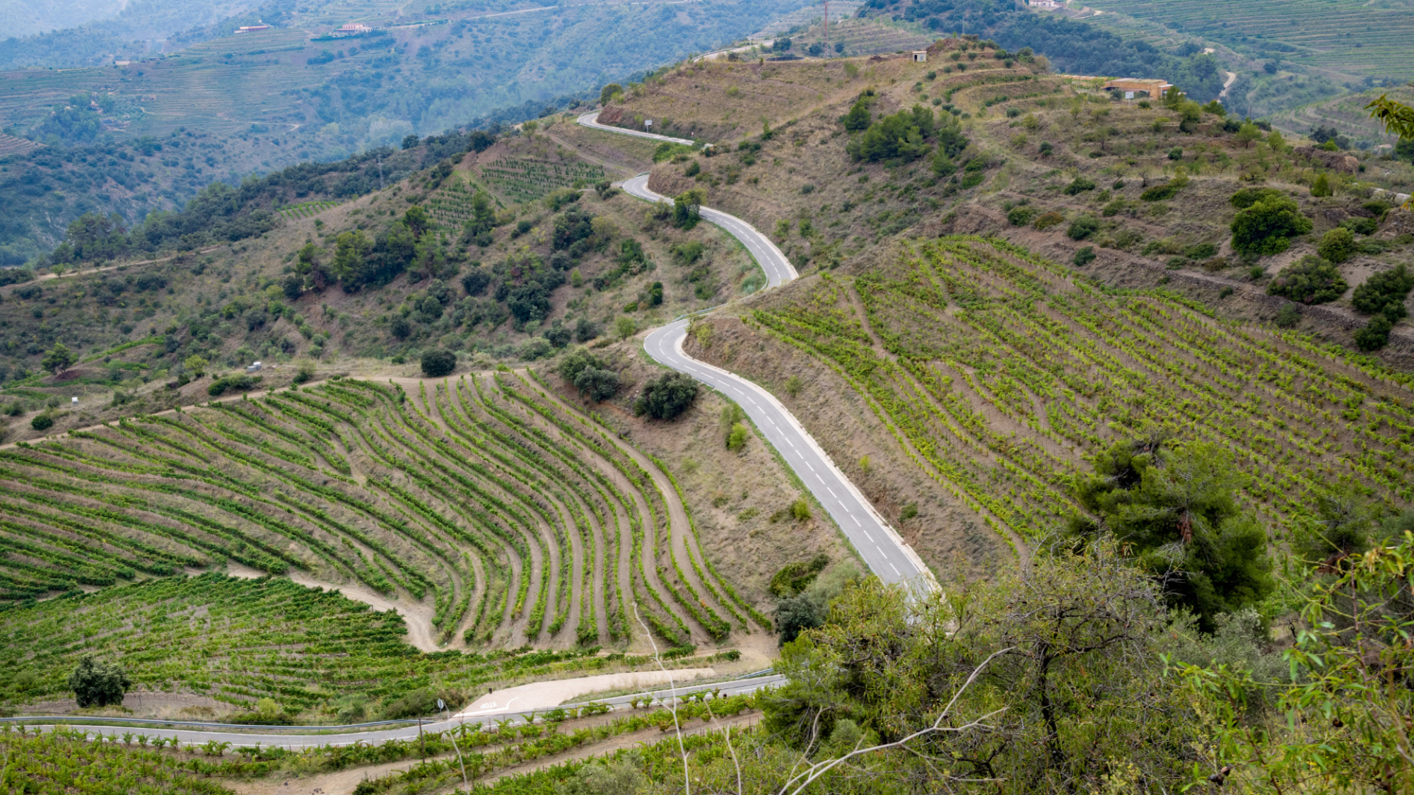 Diseño sin título (3)