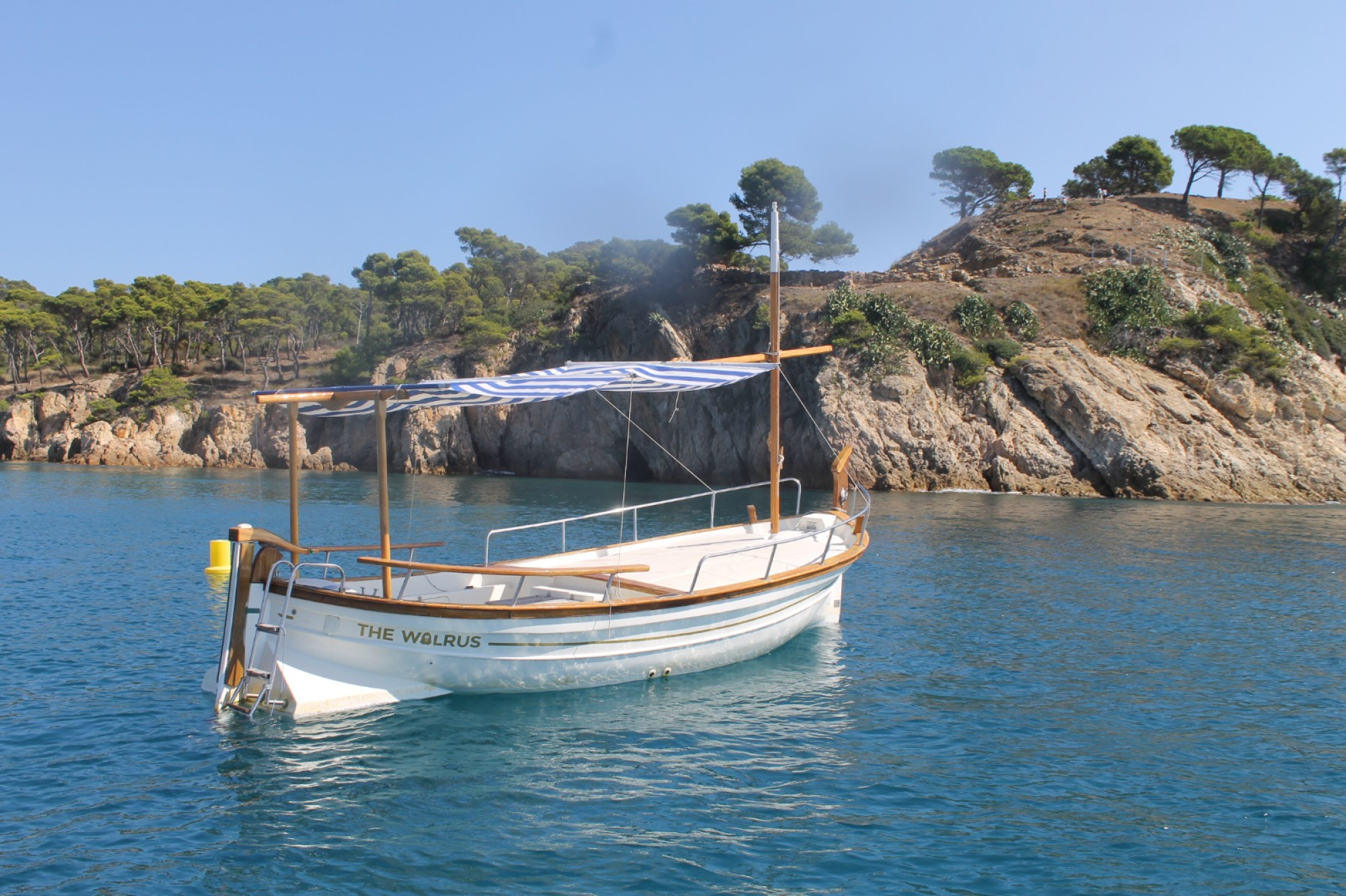 WhatsApp Image 2025 03 19 at 10.55.20 (1)