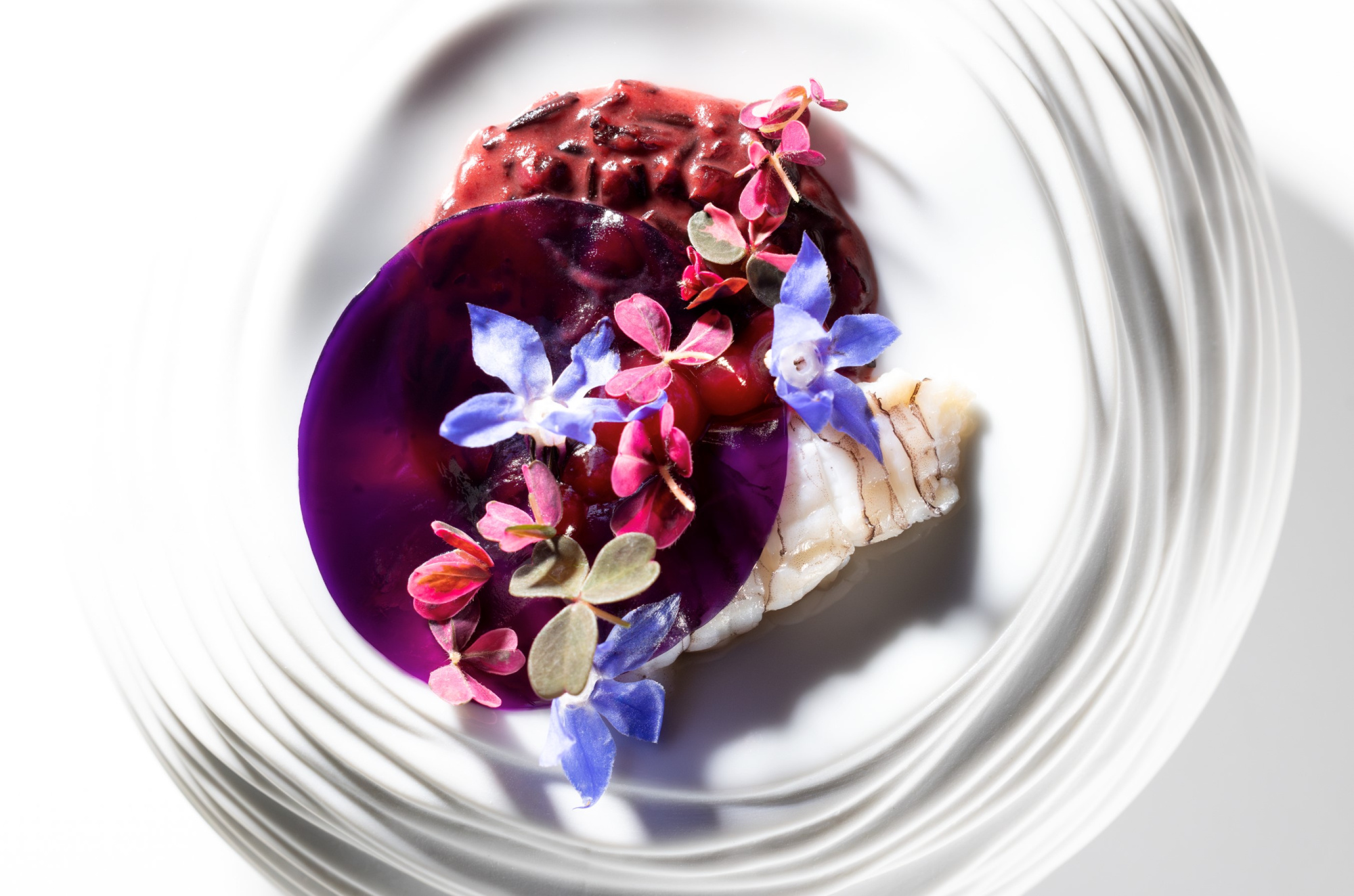 Il Milione  Un historia milenaria Il Milione  Un historia milenaria