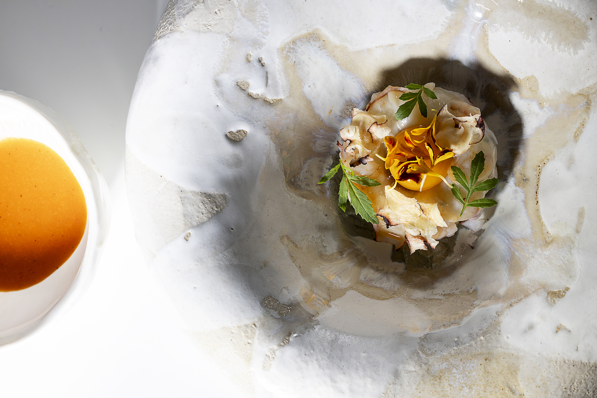 IL MILIONE 05296 low (5) IL MILIONE 05296 low (5)