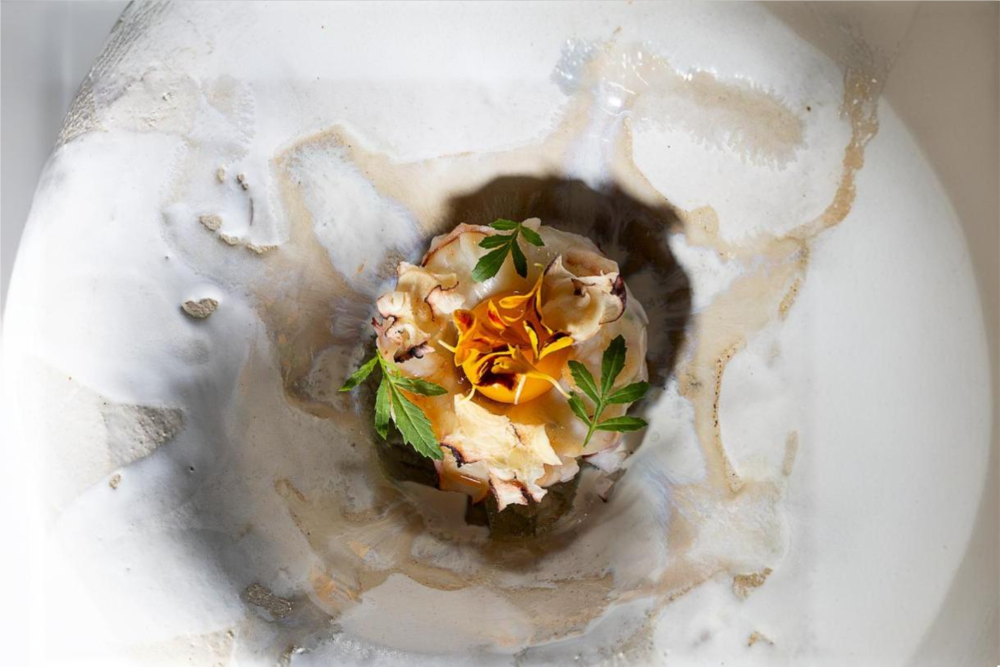 IL MILIONE 05296 low (5) 1 IL MILIONE 05296 low (5) 1