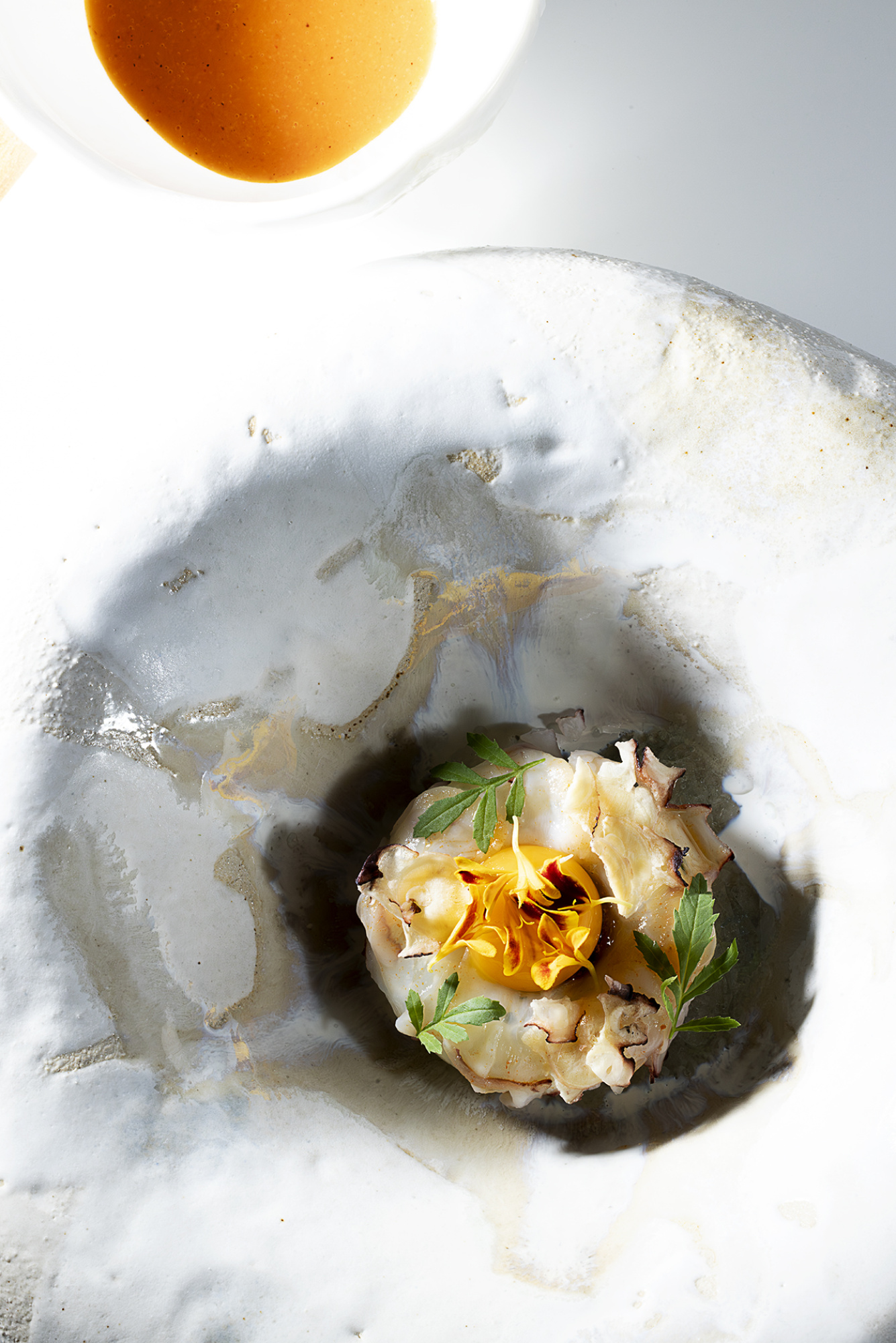 IL MILIONE 05296 low (6) IL MILIONE 05296 low (6)