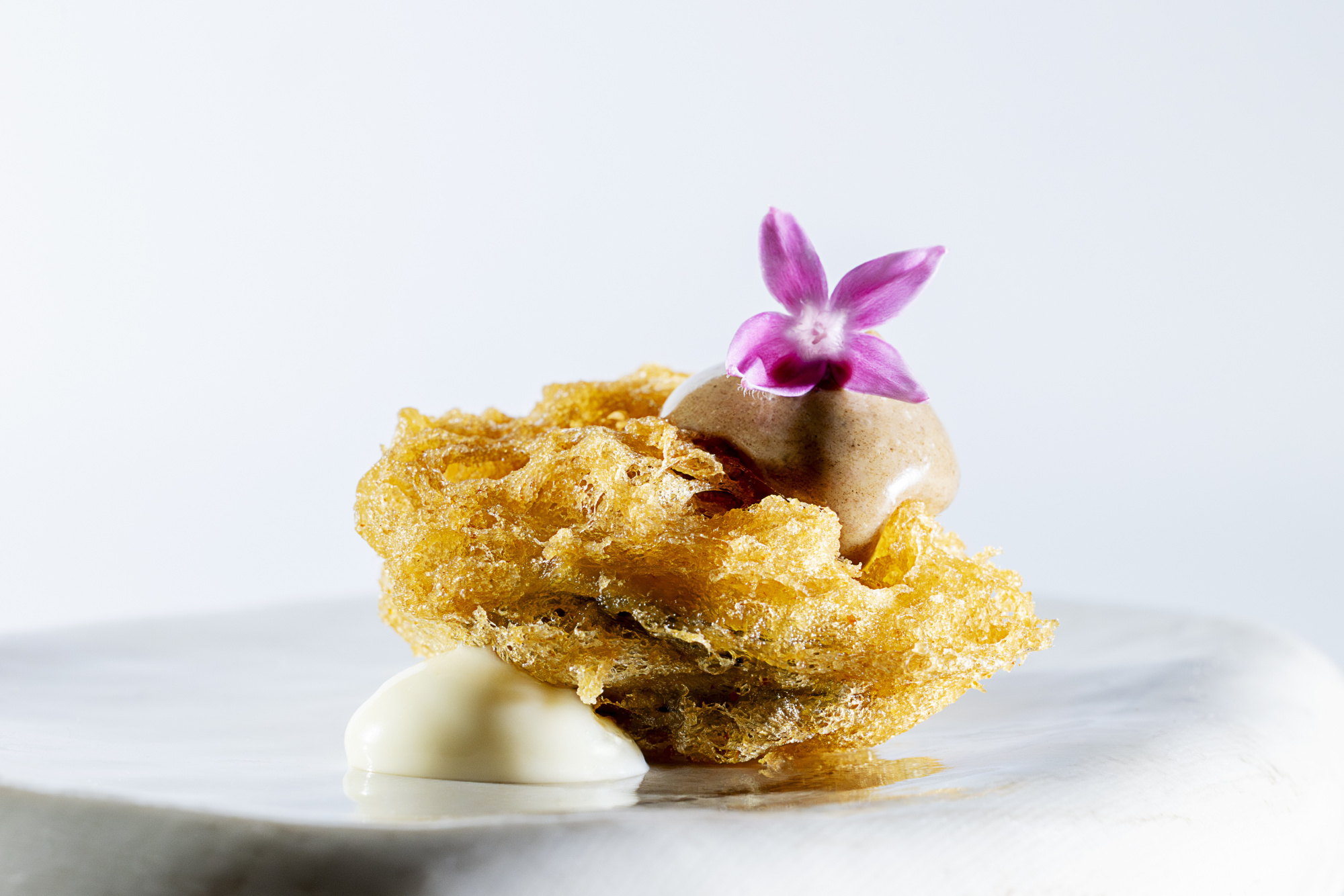 IL MILIONE JOYAS DEL MA Ostra en Tempura 01415L IL MILIONE JOYAS DEL MA Ostra en Tempura 01415L