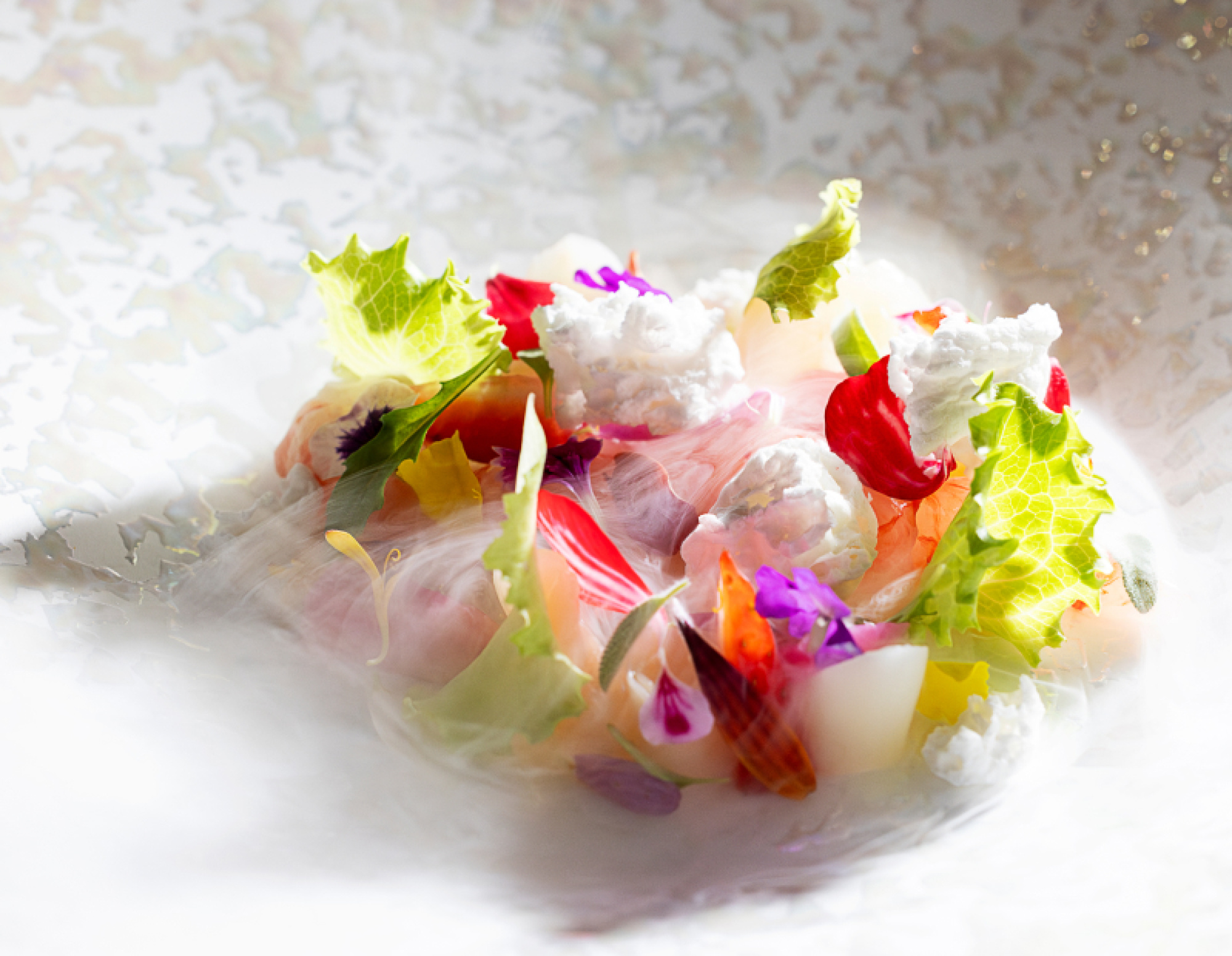 IL MILIONE LAS MARAVILLAS 01254 IL MILIONE LAS MARAVILLAS 01254