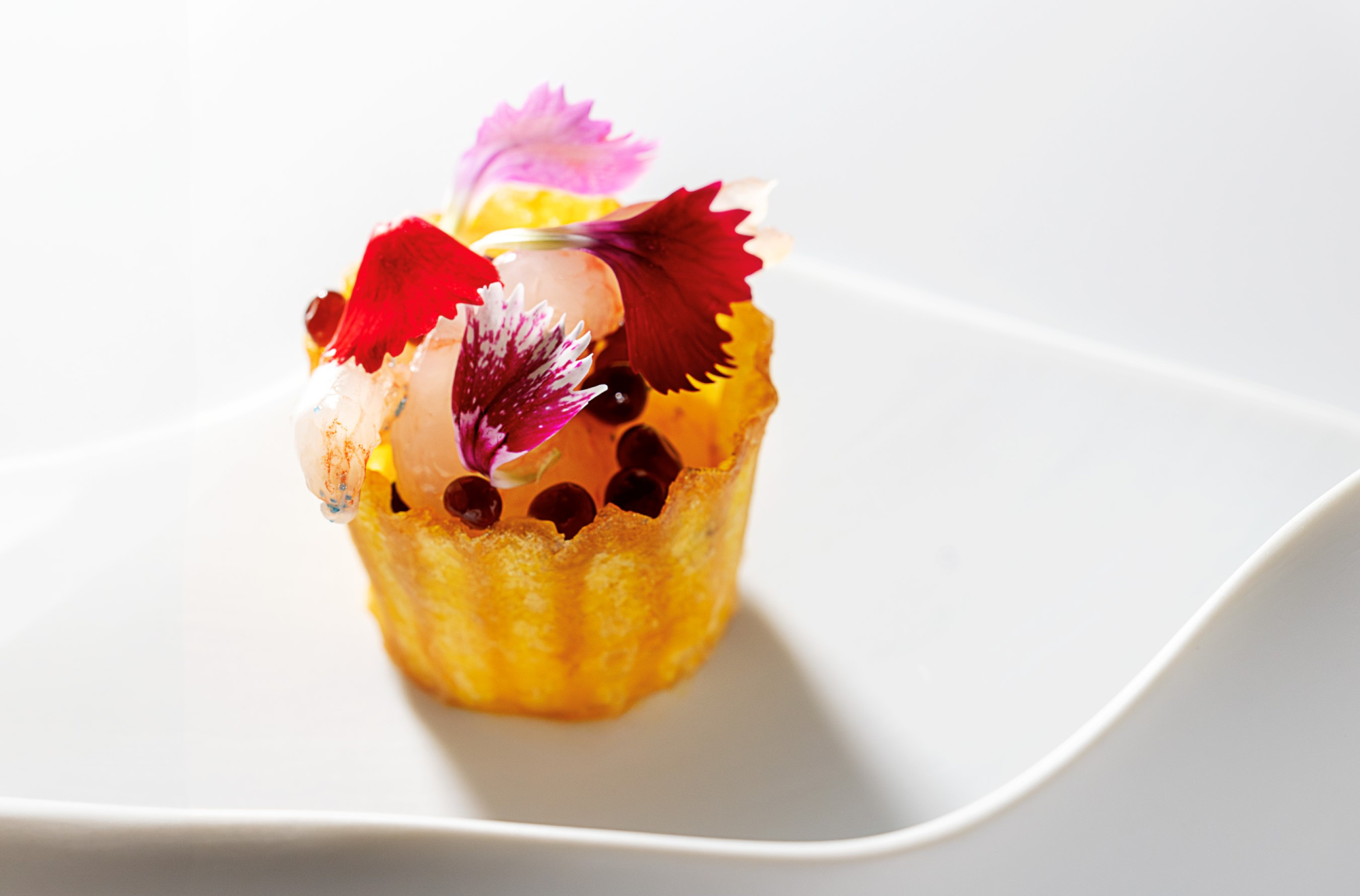 Il Milione  Secuencia Apeitivos Il Milione  Secuencia Apeitivos