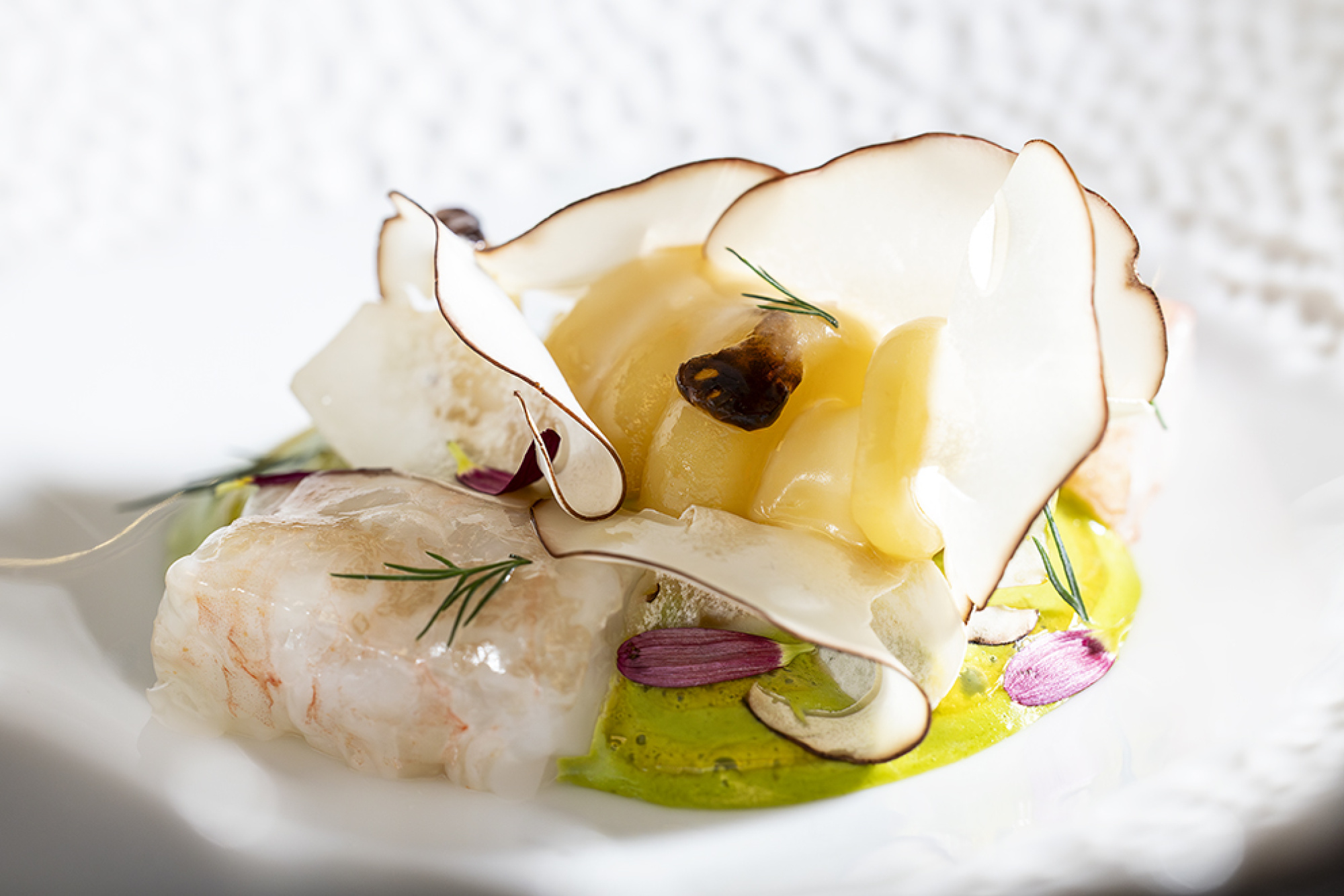 LASARTE & CODA 05261