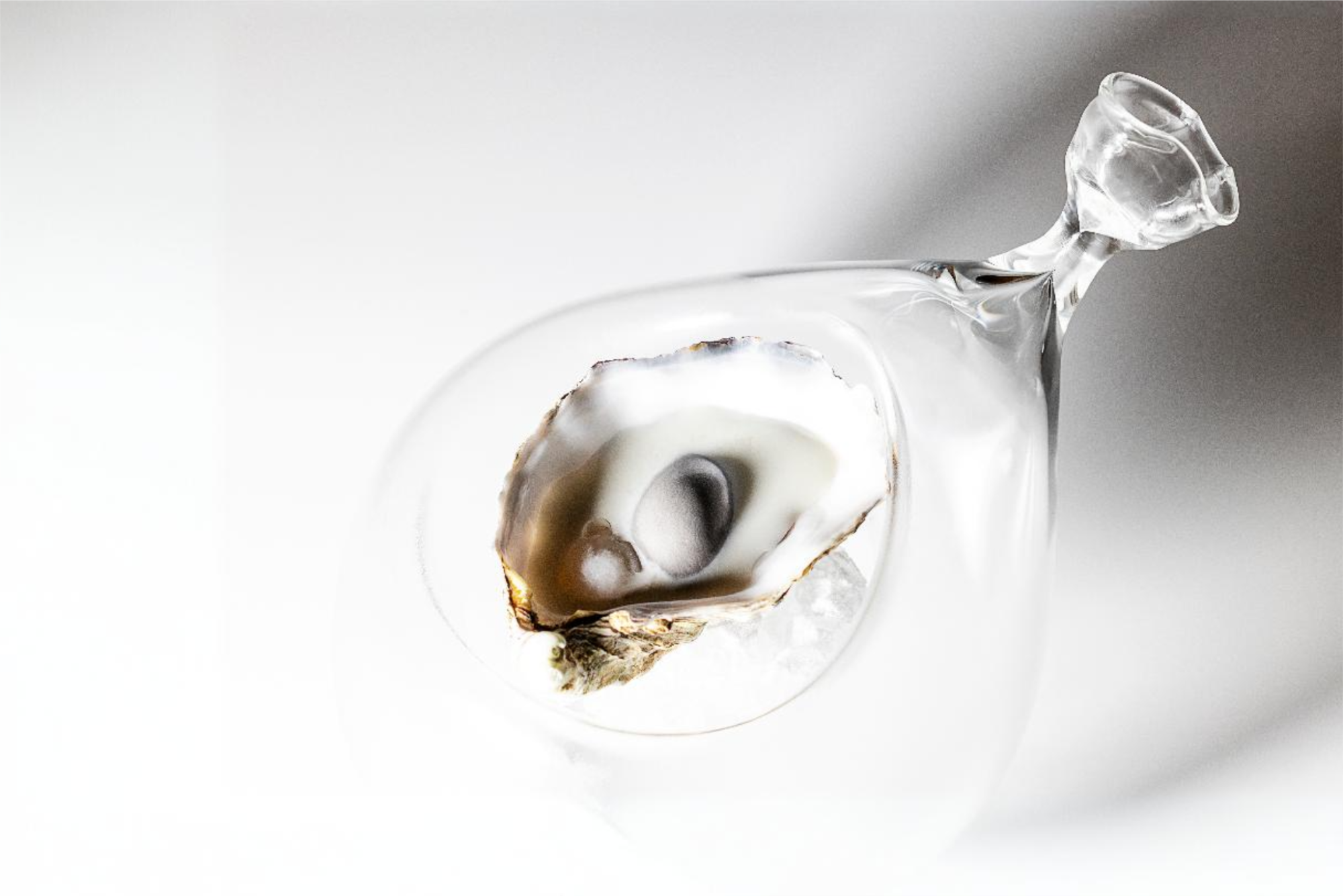 LASARTE IL MILIONE JOYAS DEL MAR 001377 1 LASARTE IL MILIONE JOYAS DEL MAR 001377 1