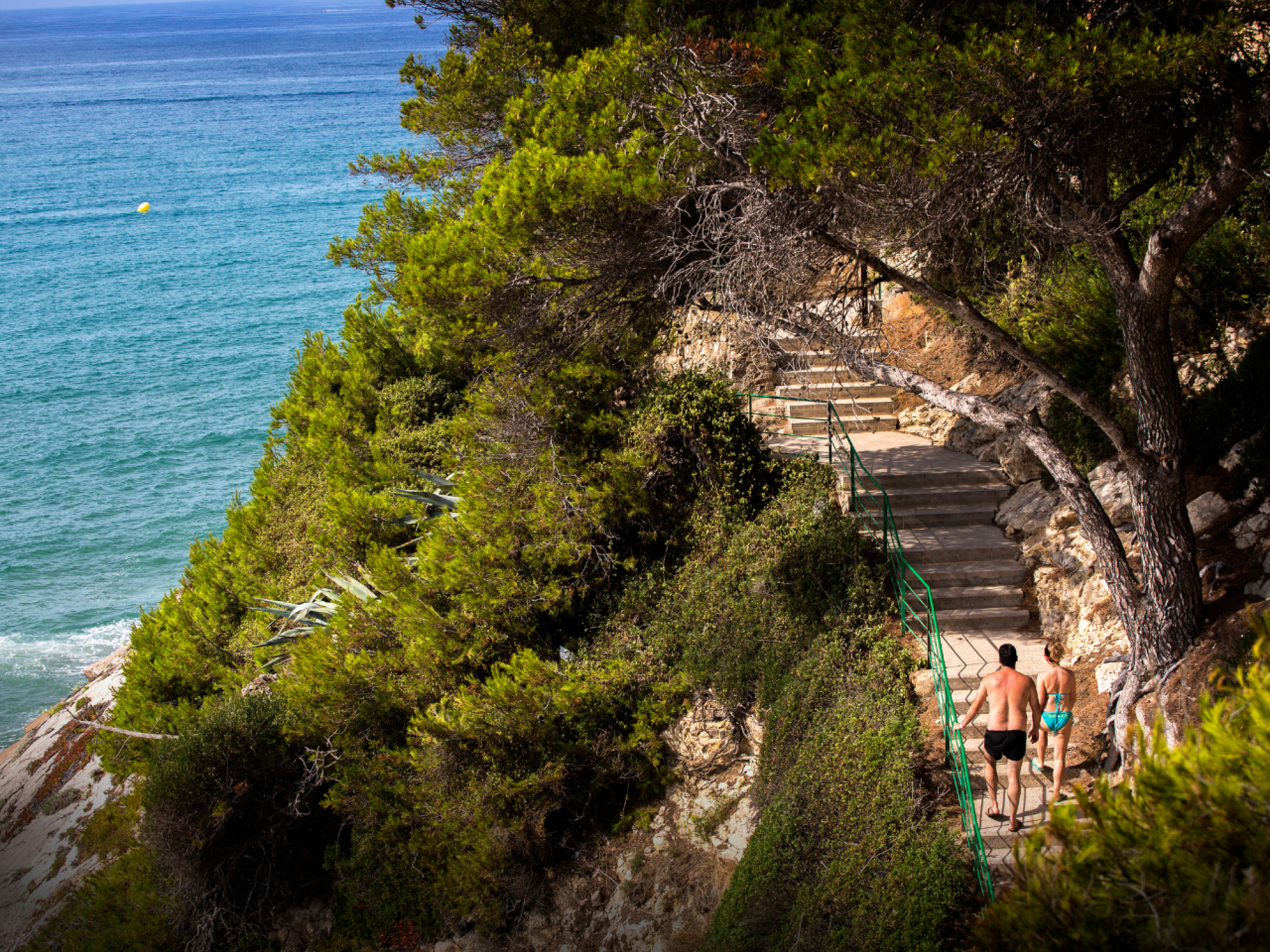 Vista de una playa con aguas cristalinas y arena dorada, rodeada de vegetación y acantilados, ideal para actividades acuáticas y relajación.