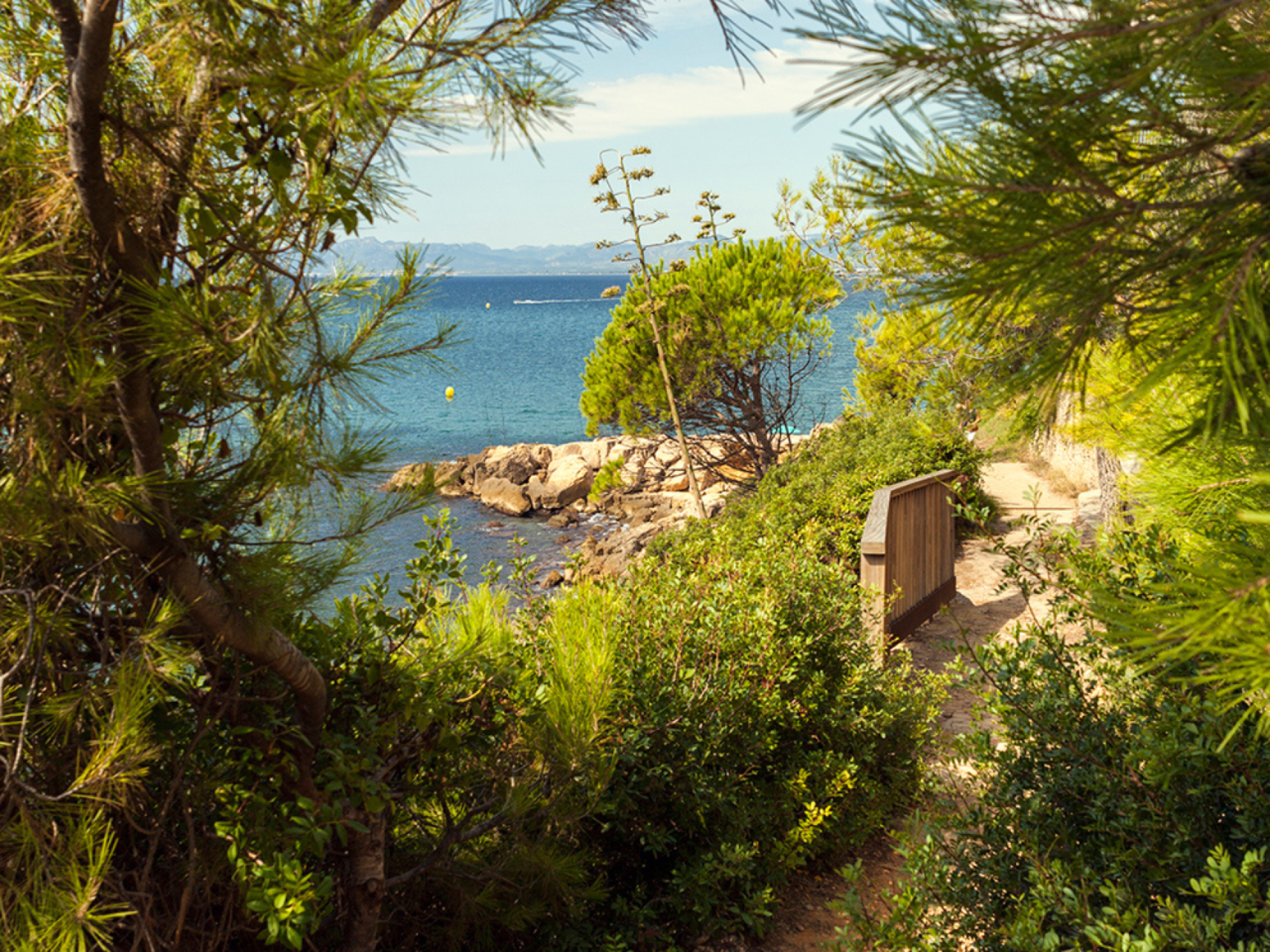 Imagen que muestra un paisaje costero con una playa de arena y aguas cristalinas, rodeada de vegetación y acantilados, ideal para actividades de ocio y relajación.