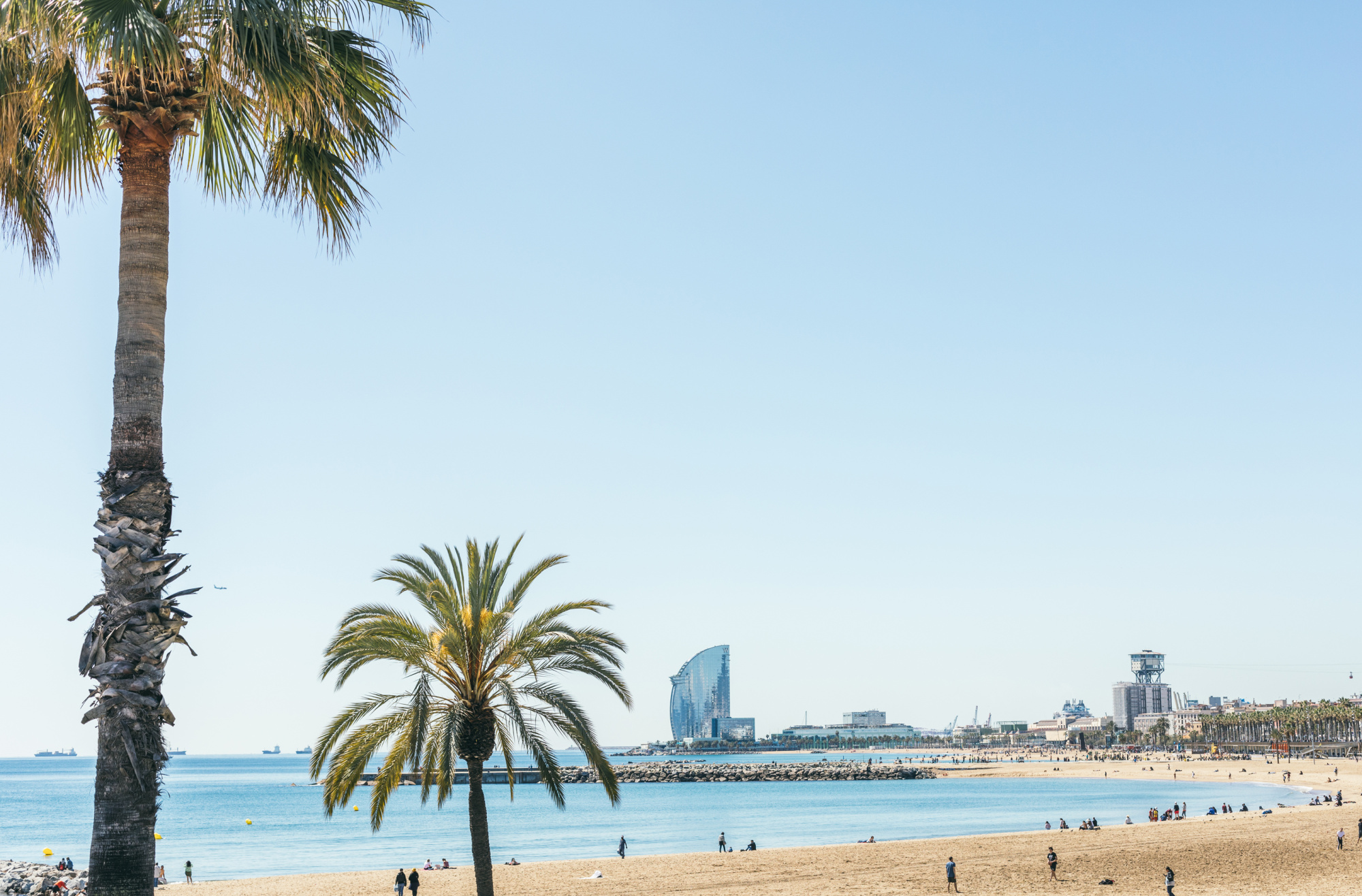 Se ve una playa con palmeras, bañistas y el mar al fondo.