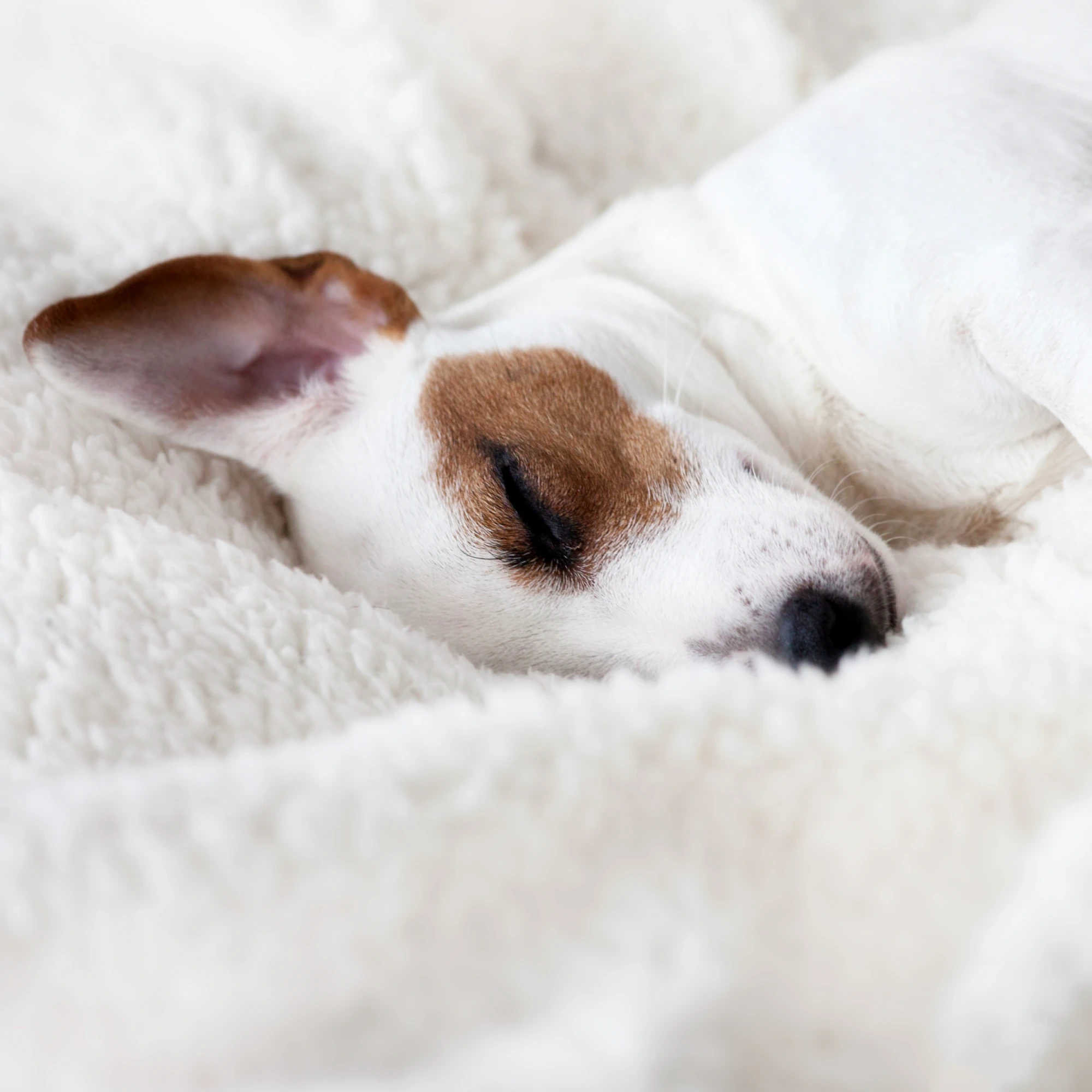 Hotel Astoria 3* Barcelona