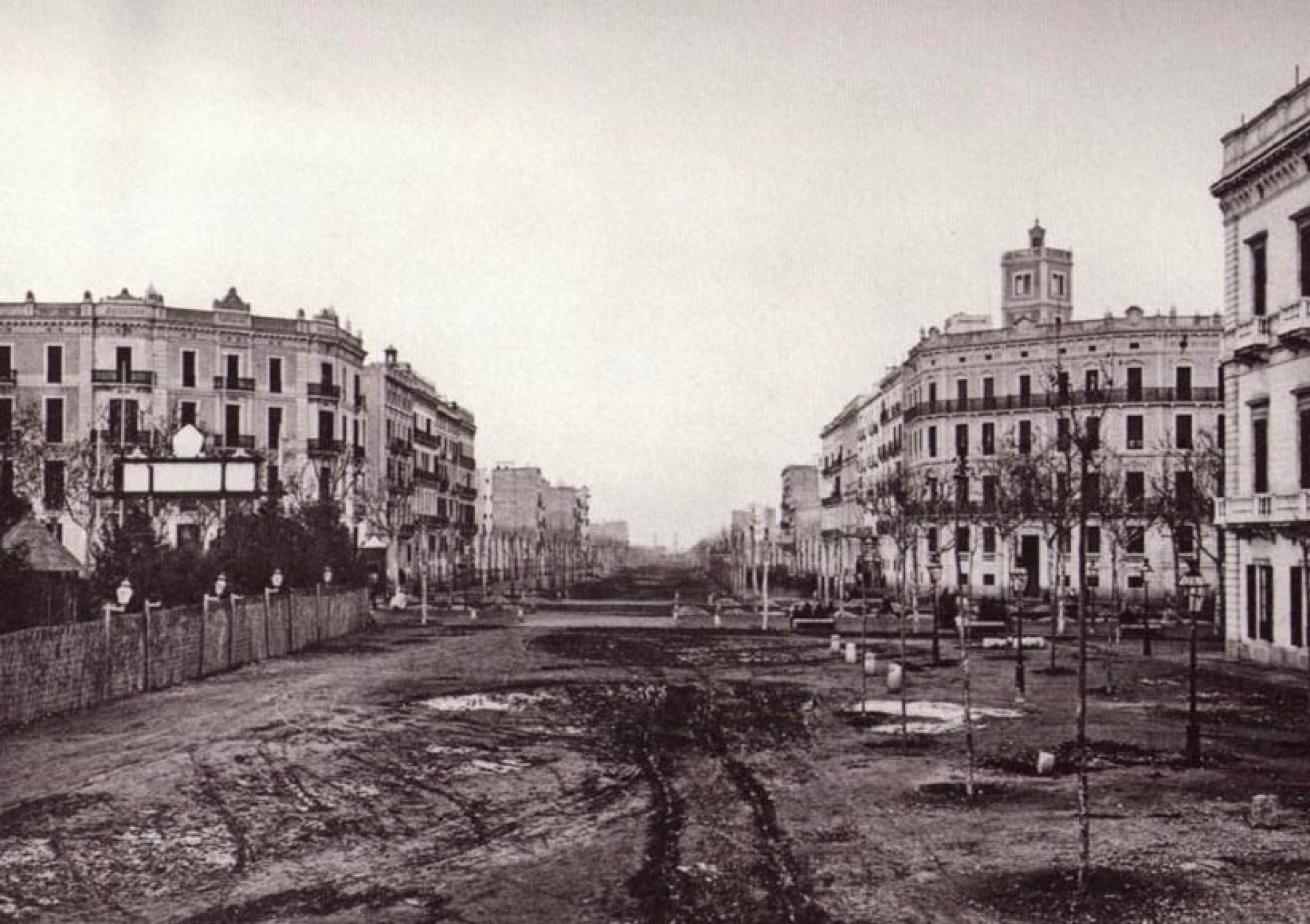 Blick auf eine breite Allee mit Gebäuden und Bäumen auf beiden Seiten.
