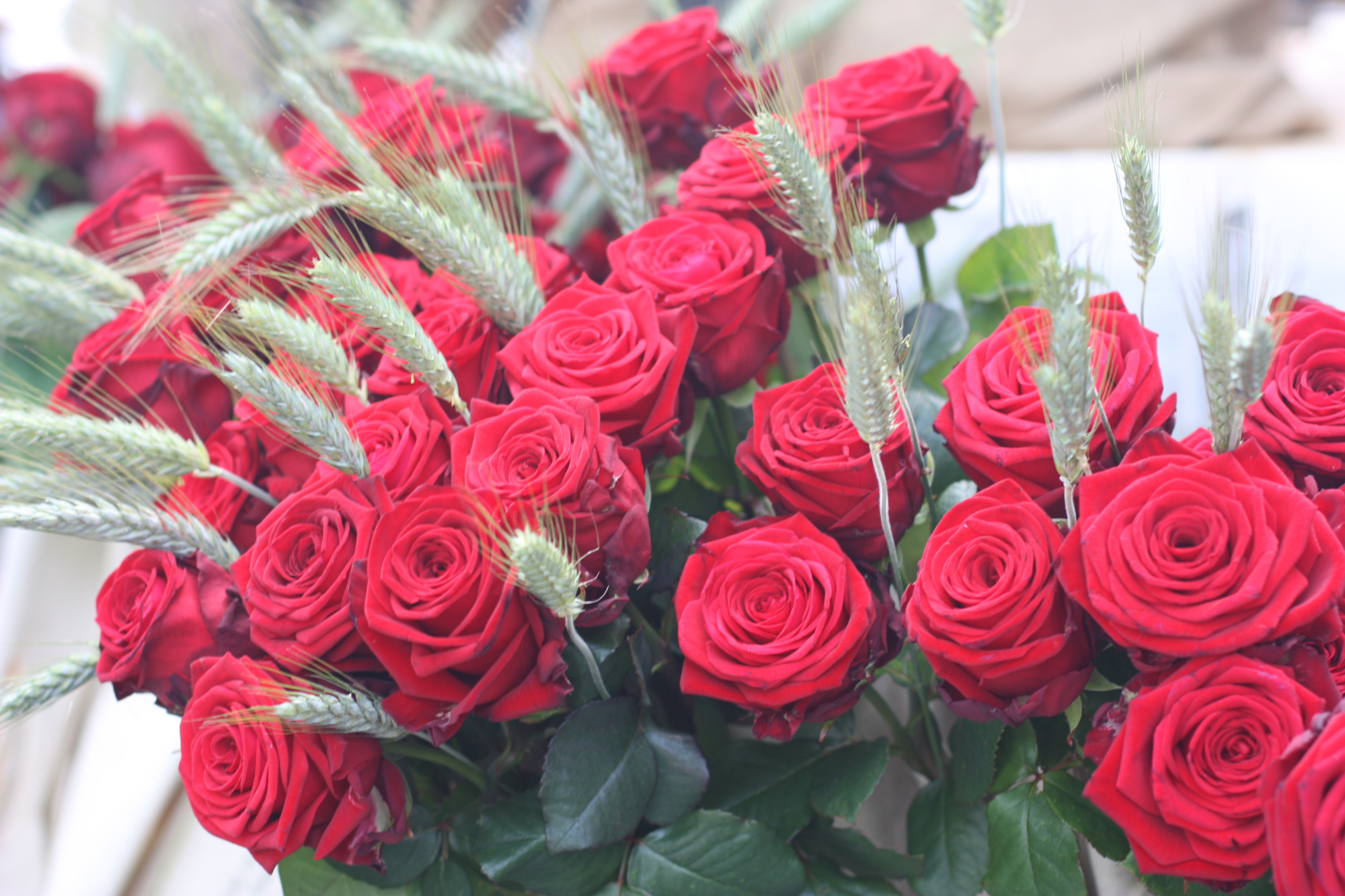 Hotel Granados 83 Barcelona