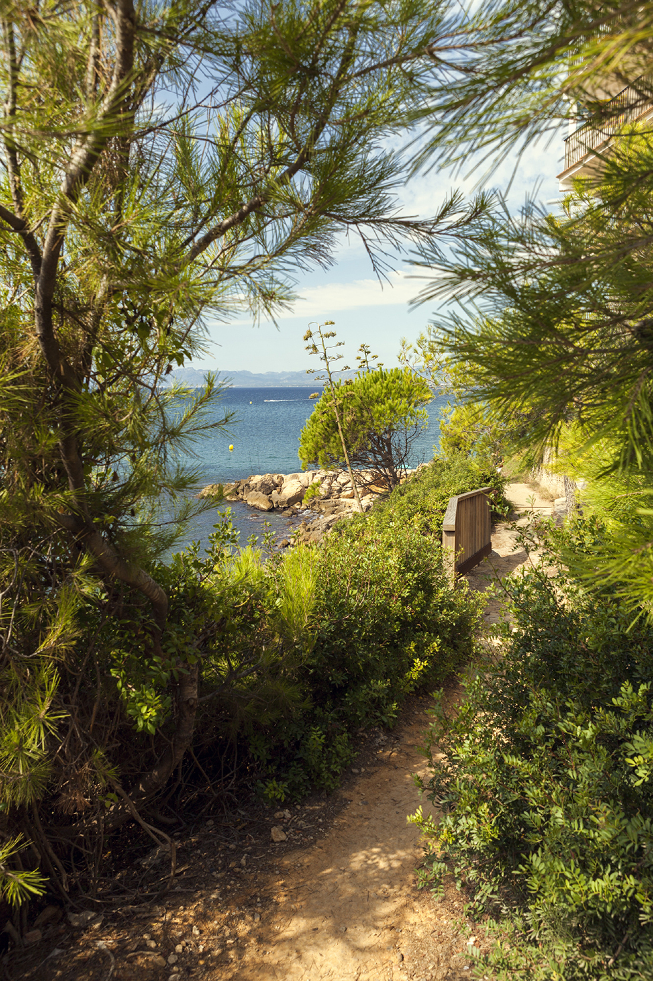 Una vista de un camino rodeado de vegetación y árboles, con un ambiente natural y tranquilo, ideal para paseos y actividades al aire libre.