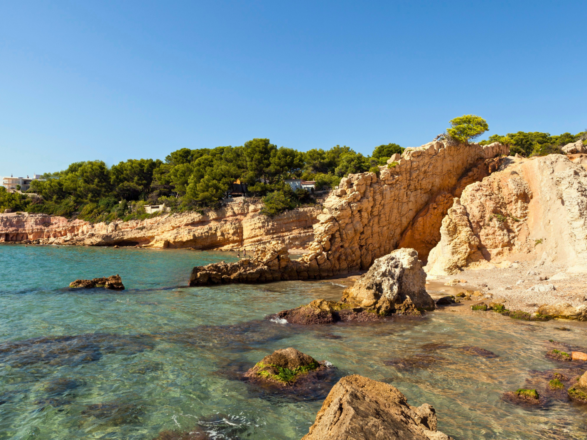 Vista de una piscina exterior rodeada de tumbonas y sombrillas, con un entorno natural y relajante, ideal para vacaciones en la playa.