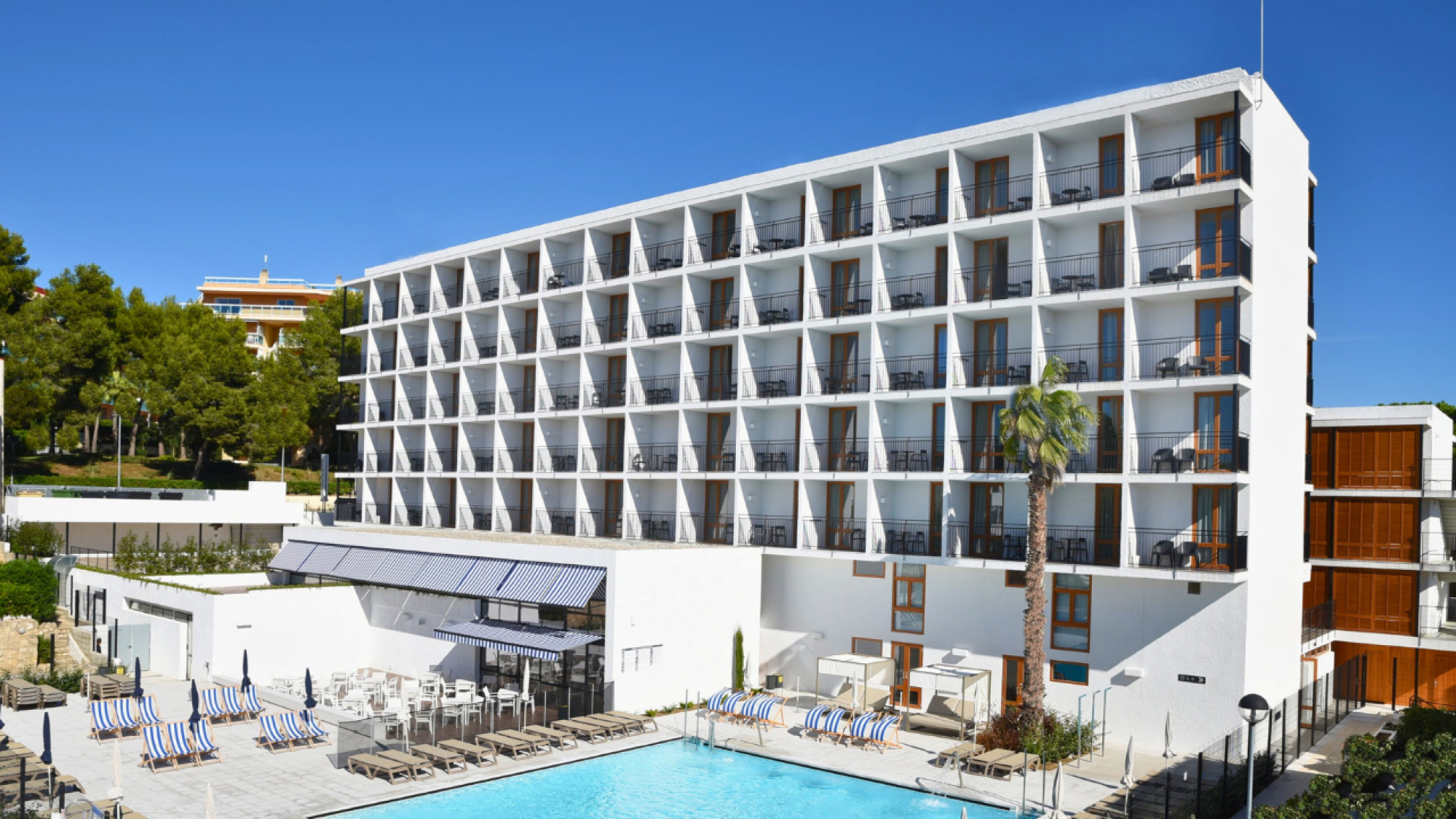 Una piscina al aire libre en el Hotel Sun Club Cala Vinya, rodeada de áreas de descanso y vegetación, ideal para relajarse y disfrutar del clima soleado.