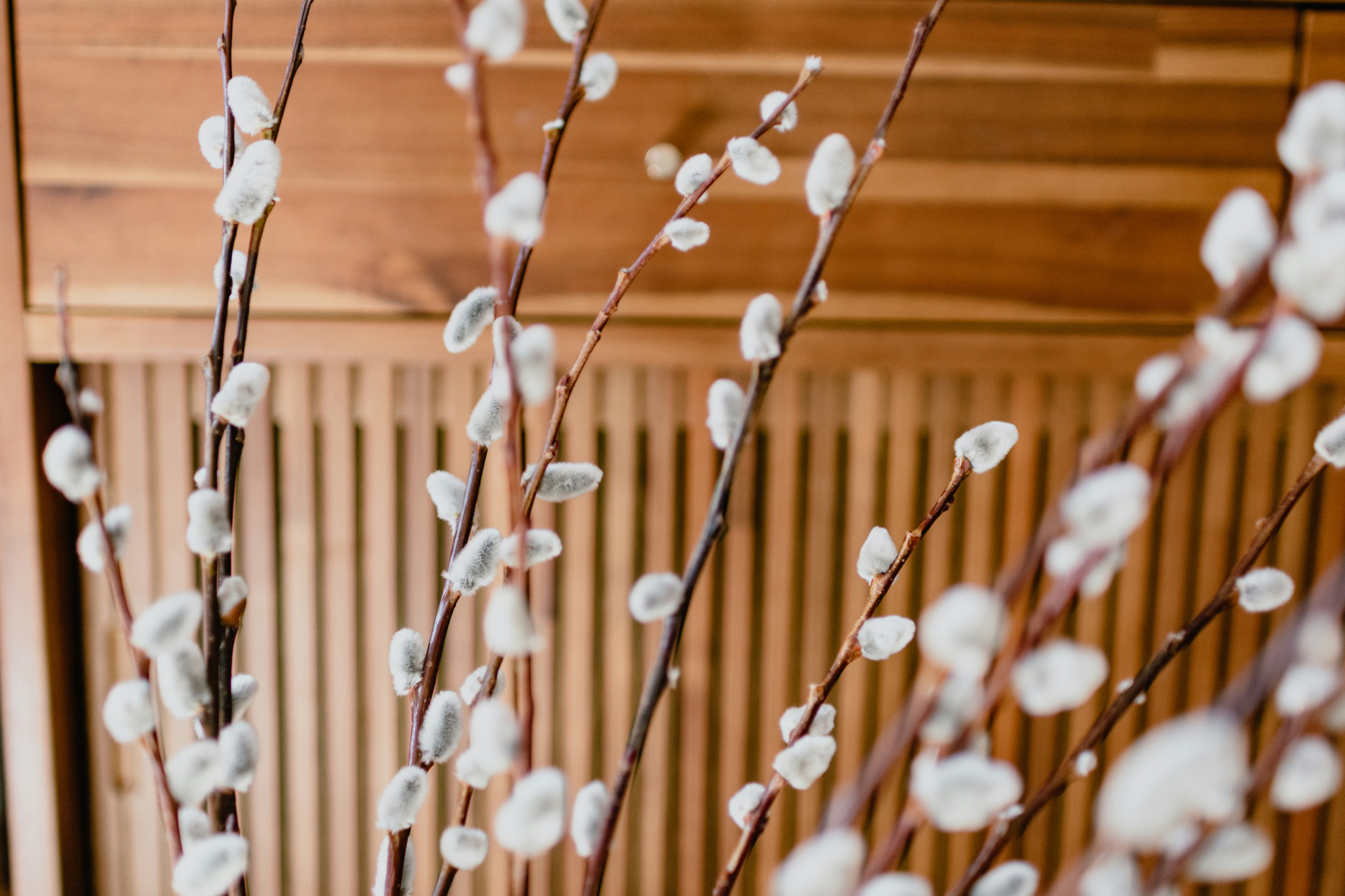 Kelly sikkema v7r0HL6nvwI unsplash